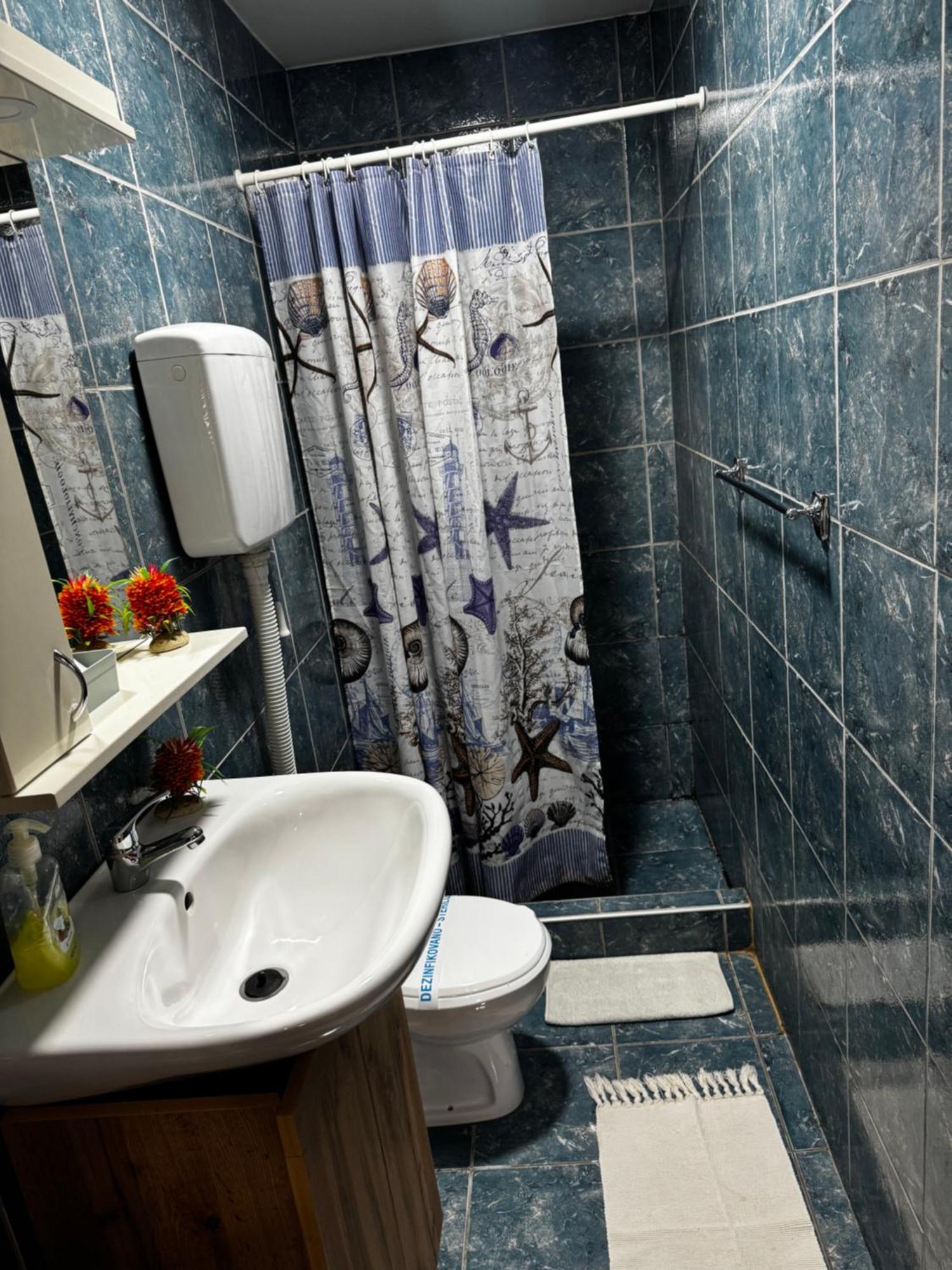 Apartments Vila Brzi & Beka Šabac エクステリア 写真